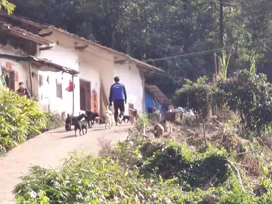 阳春房地一体项目纪实丨无悔青春多砥砺，最是奋斗感人心