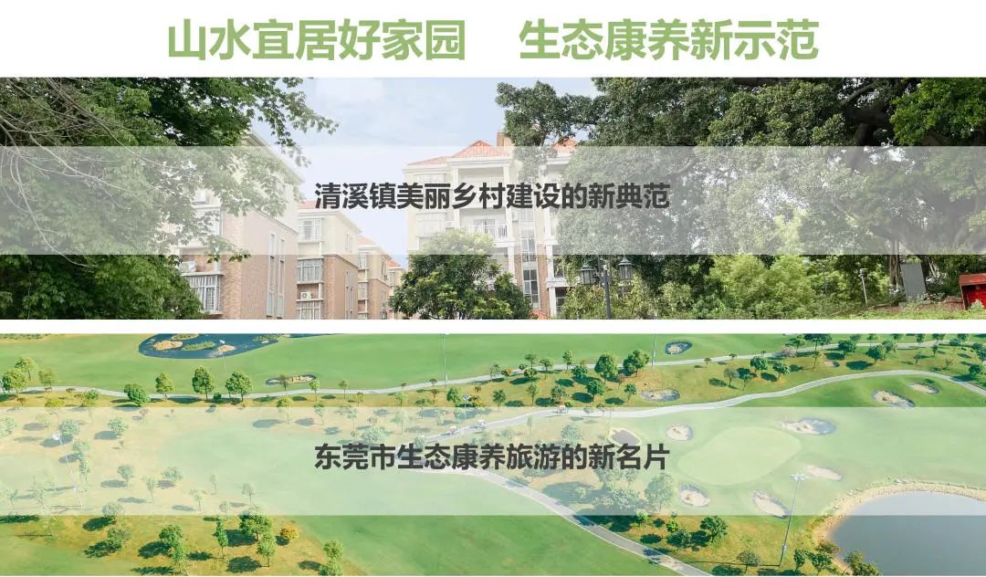 尊龙Z6官方网站集团助力清溪镇打造漂亮墟落建设树模村
