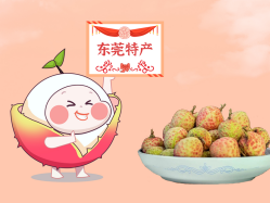 漫话尊龙Z6官方网站丨一颗有“故事”的荔枝！！