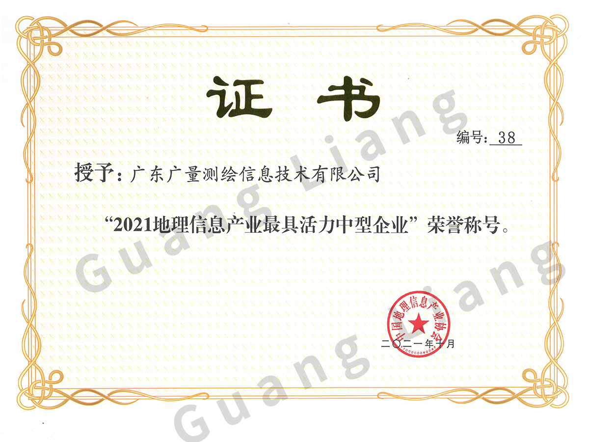 2021地理信息工业最具活力中型企业