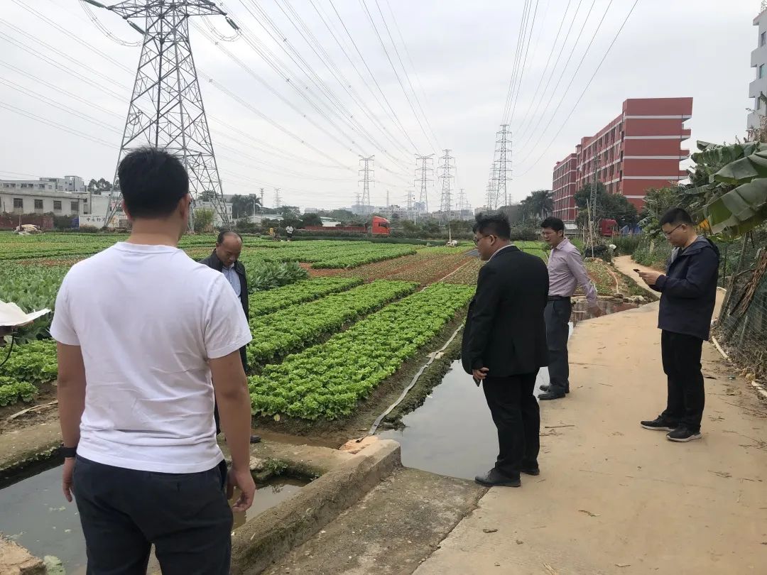 助力墟落振兴，，，尊龙Z6官方网站一直在起劲！