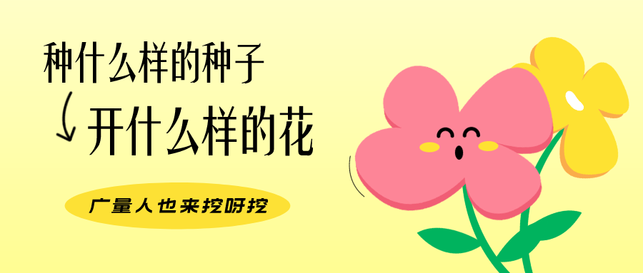 量圈儿NO.104丨尊龙Z6官方网站人的小小花园，，，挖到宝了！！