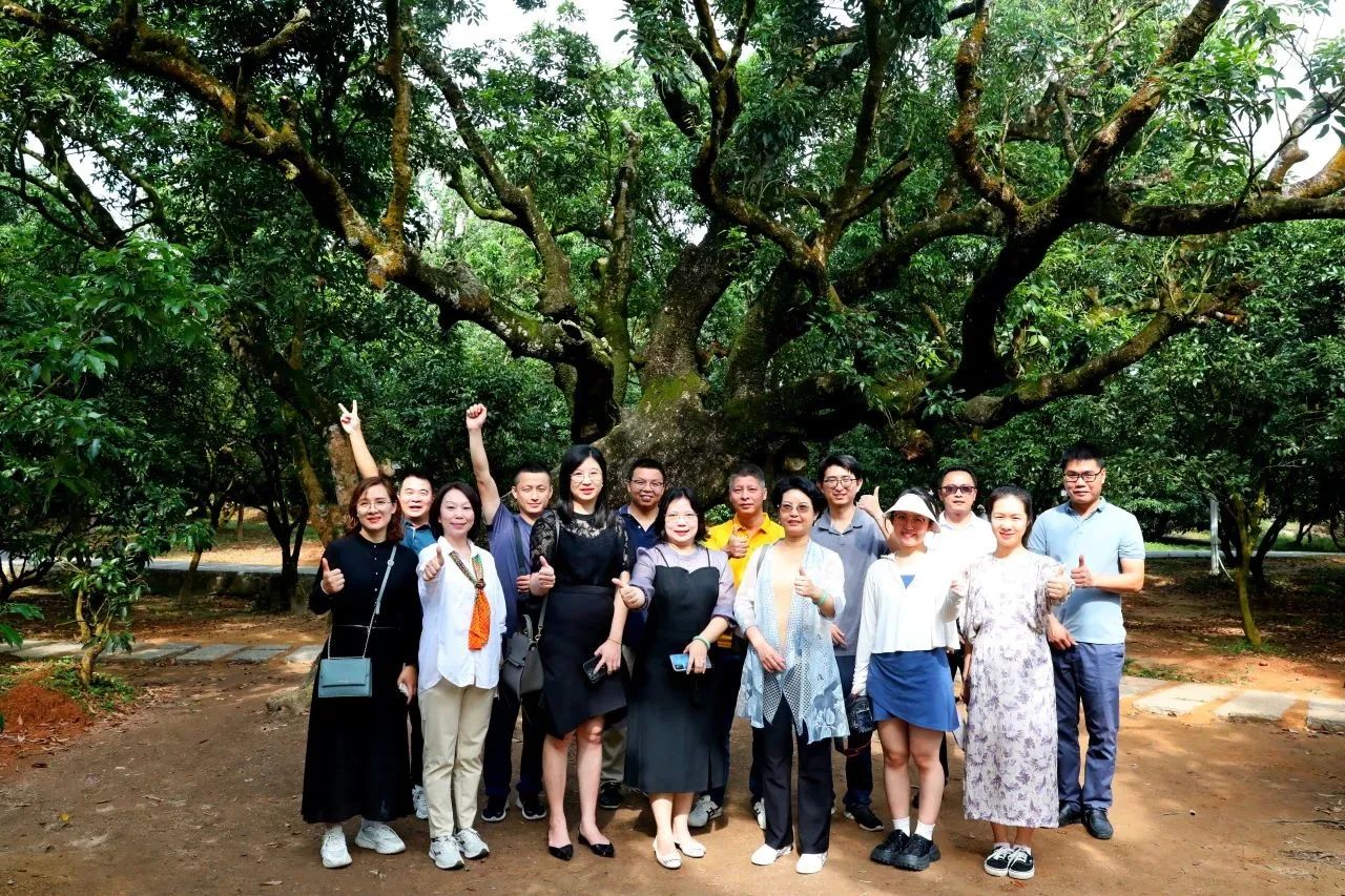 尊龙Z6官方网站集团作为省领土空间生态修复协会轮值会长带队调研粤西全域土地综合整治事情