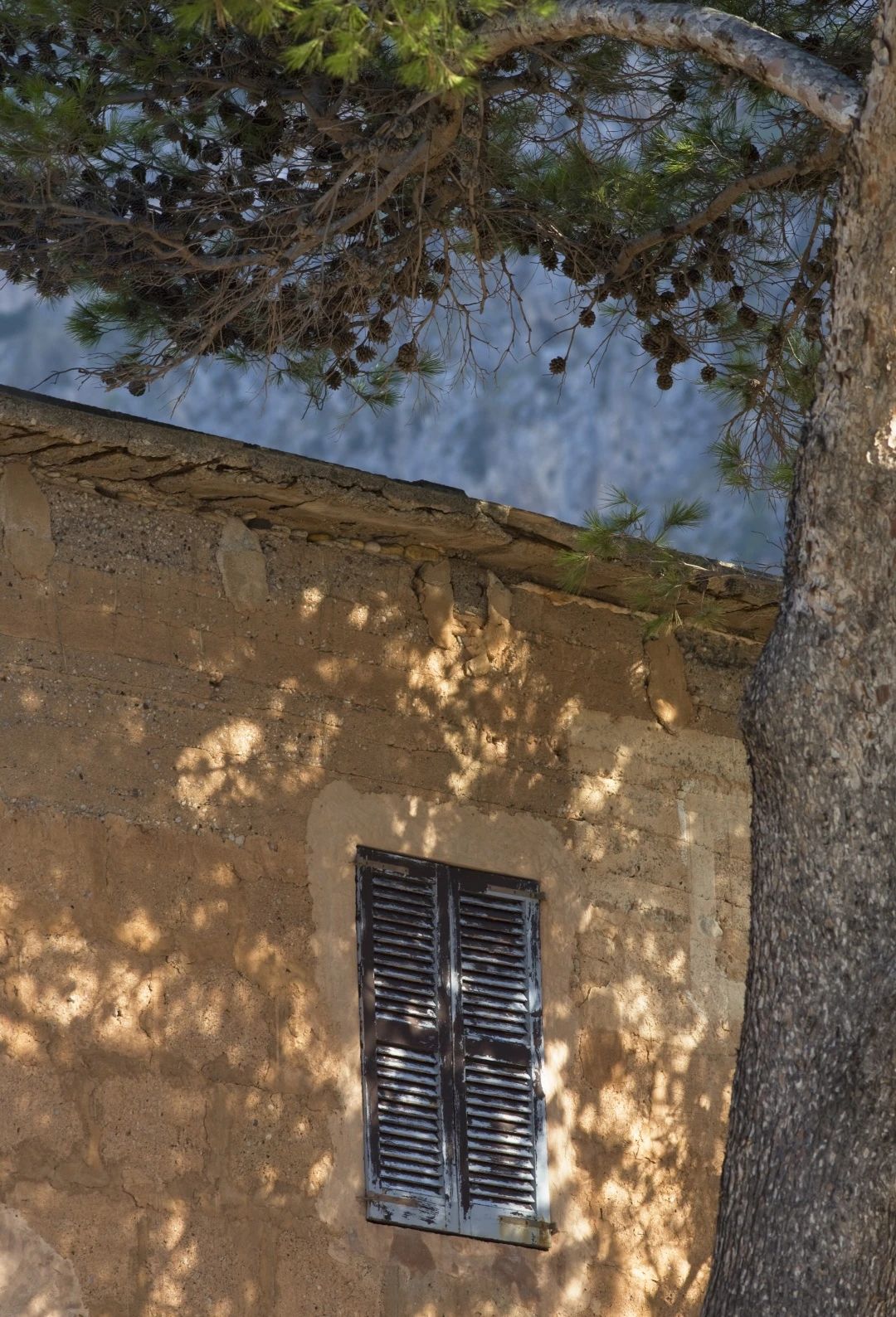 节日丨315特辑：给老屋子的情书！！！