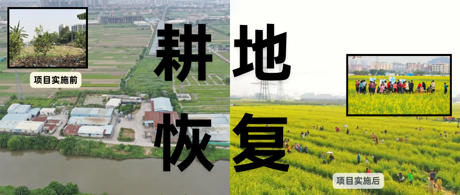 耕地；；；び刖每构踩凇甘泻窠终蛩谏缜读继锵钅扛鼗指从氤窍缛诤系牧⒁焓导