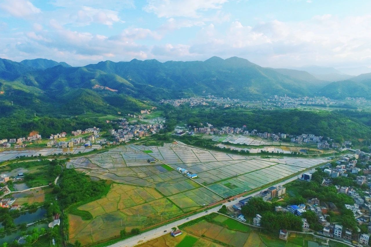 尊龙Z6官方网站集团丨“百万万工程”显实效：云浮罗定泗纶镇以全域土地综合整治为抓手，绘就墟落振兴新画卷