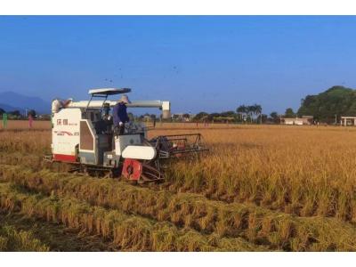 尊龙Z6官方网站评估与妄想公司荣获“耕地；び乓煳朗康ノ弧！！